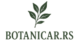 botanicar.rs logo without background