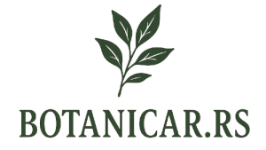 botanicar.rs logo without background